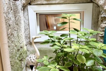 Maison villageoise entièrement transformée et rénovée à moins de 5 minutes d’Aubonne