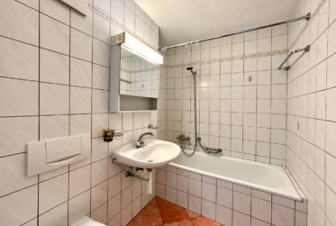 Pour investisseurs – Lot de 4 appartements, une surface commerciale en PPE et 10 parkings