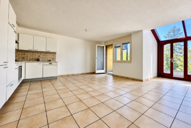 Pour investisseurs – Lot de 4 appartements, une surface commerciale en PPE et 10 parkings