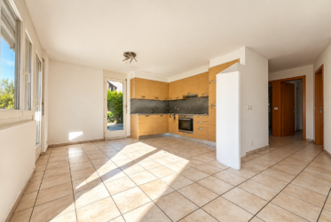 Pour investisseurs – Lot de 4 appartements, une surface commerciale en PPE et 10 parkings